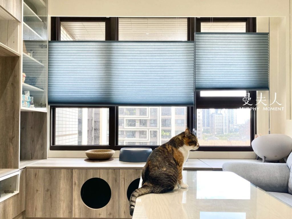 風琴簾缺點有哪些? 風琴簾安裝、優缺點與遮光效果全面解析 9 透光風琴簾打造明亮空間