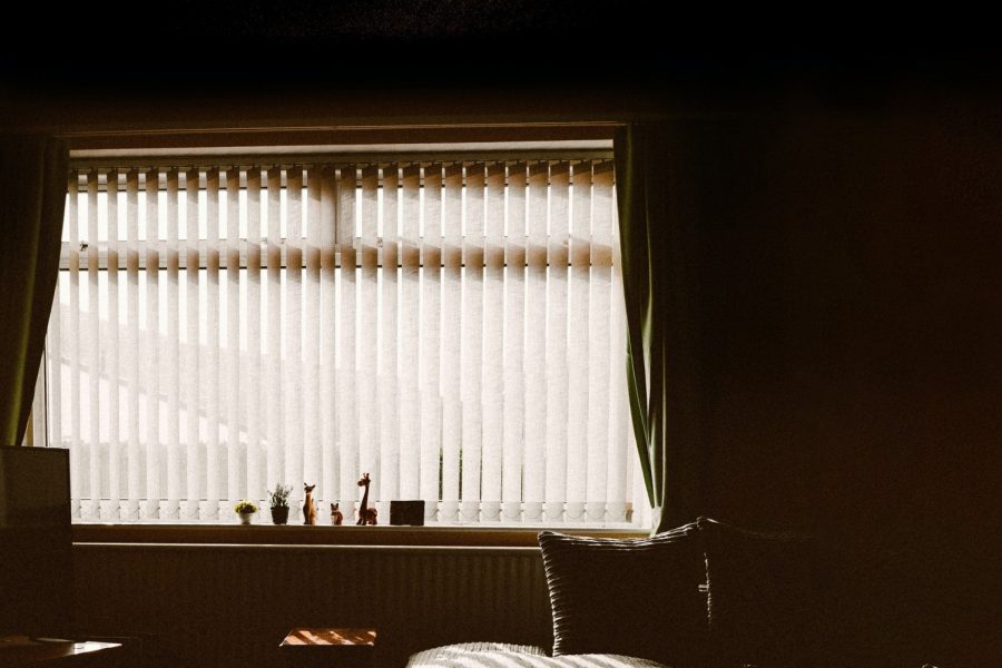 pexels-lisa-fotios-2249055-(1)_Original