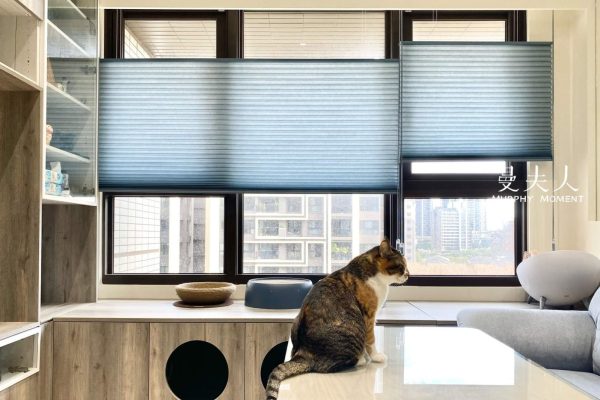 透光風琴簾打造明亮空間